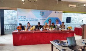 Kepala DSDABMBK Tangsel, Robby Cahyadi sedang melakukan pemaparan di forum OPD.(eka) HitzSerpong.com