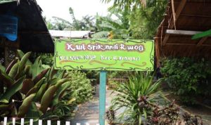 KWT Srikandi Nusa Jaya Berhasil Manfaatkan Lahan Tidur Jadi Produktif.(ist) HitzSerpong.com