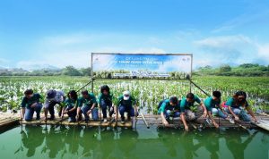 Peringati Hari Lingkungan Hidup, Alam Sutera Tanam 10.000 Bibit Mangrove di Tangerang.(ist) HitzSerpong.com