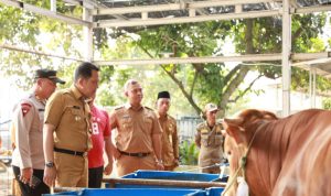 Pj Bupati Tangerang Kunjungi Lapak Hewan Kurban.(ist) HitzSerpong.com