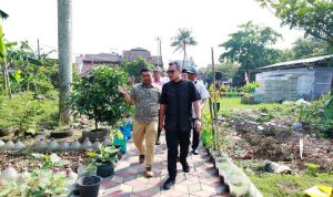 Panen Jagung Pulut di Tangsel, Pilar: Ajang Edukasi Anak-anak Tentang Pertanian.(ist) HitzSerpong.com