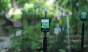 13 Program Smart Society Pada Implementasi Smart City di Kota Tangerang.(ist) HitzSerpong.com