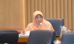 Anggota Komisi IX DPR RI, Netty Prasetiyani Aher.(Dok: DPR RI/Geraldi) hitzserpong.com