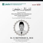 hitzserpong.com