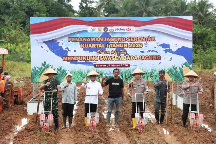 hitzserpong.com