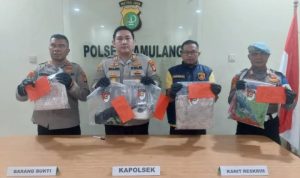 Polsek Pamulang mengungkap kasus anak aniaya ibu kandung hingga meninggal dunia di Tangerang Selatan. Pelaku berhasil diamankan polisi. (Dok laman Polres Tangsel) hitzserpong.com