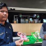 hitzserpong.com