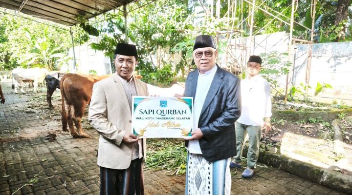 hitzserpong.com