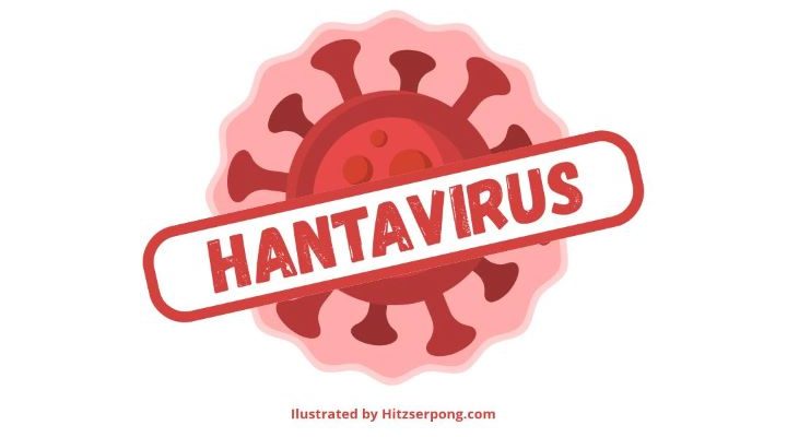hitzserpong.com