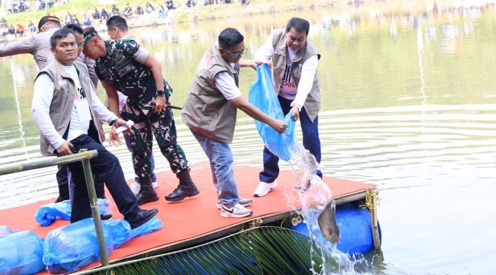hitzserpong.com