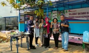 hitzserpong.com