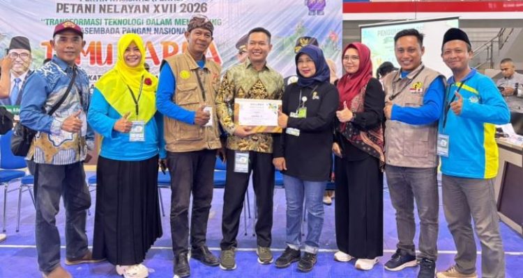 hitzserpong.com