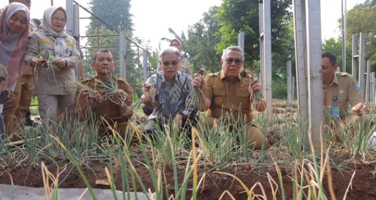 hitzserpong.com