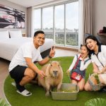 hitzserpong.com