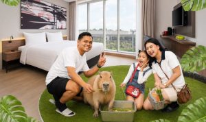 hitzserpong.com