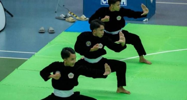 hitzserpong.com