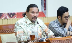 hitzserpong.com