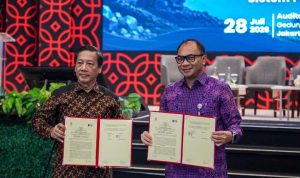 hitzserpong.com