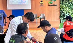 hitzserpong.com