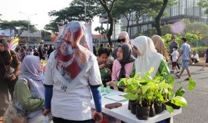DLH Tangsel gelar penukaran sampah plastik dengan bibit tanaman di CFD BSD. 60 bibit jeruk dan philodendron serta pupuk organik disiapkan. (Foto: Istimewa) hitzserpong.com
