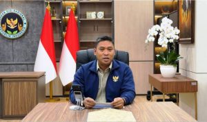 hitzserpong.com