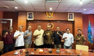 hitzserpong.com