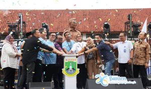 hitzserpong.com