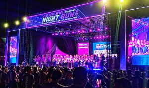 hitzserpong.com