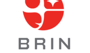 Logo BRIN.(Foto: brin.go.id) HitzSerpong.com